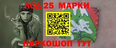 гашик Новокубанск