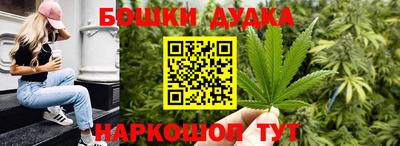 гашик Новокубанск