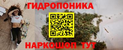 каннабис Новодвинск