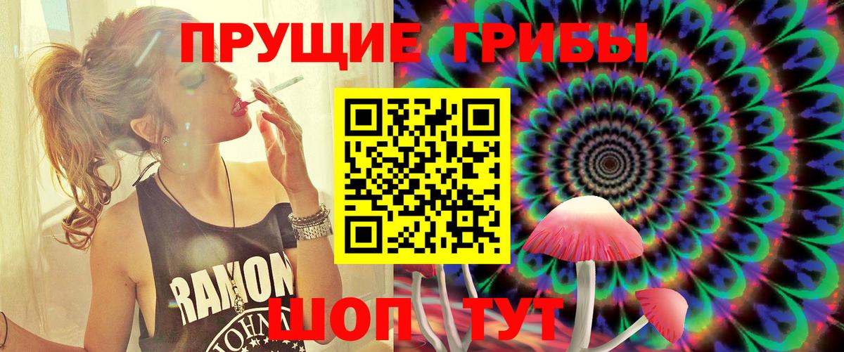 Советский  Галлюциногенные грибы MAGIC MUSHROOMS  Вход с VPN  Галлюциногенные грибы GOLDEN TEACHER 