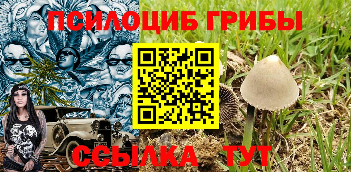 Галлюциногенные грибы Psilocybine cubensis Советский